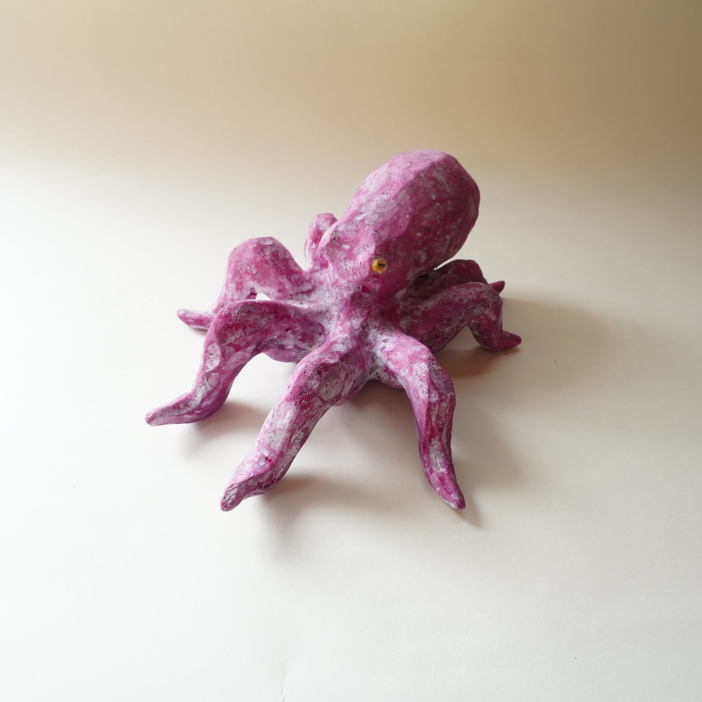 タコ（多幸）2025