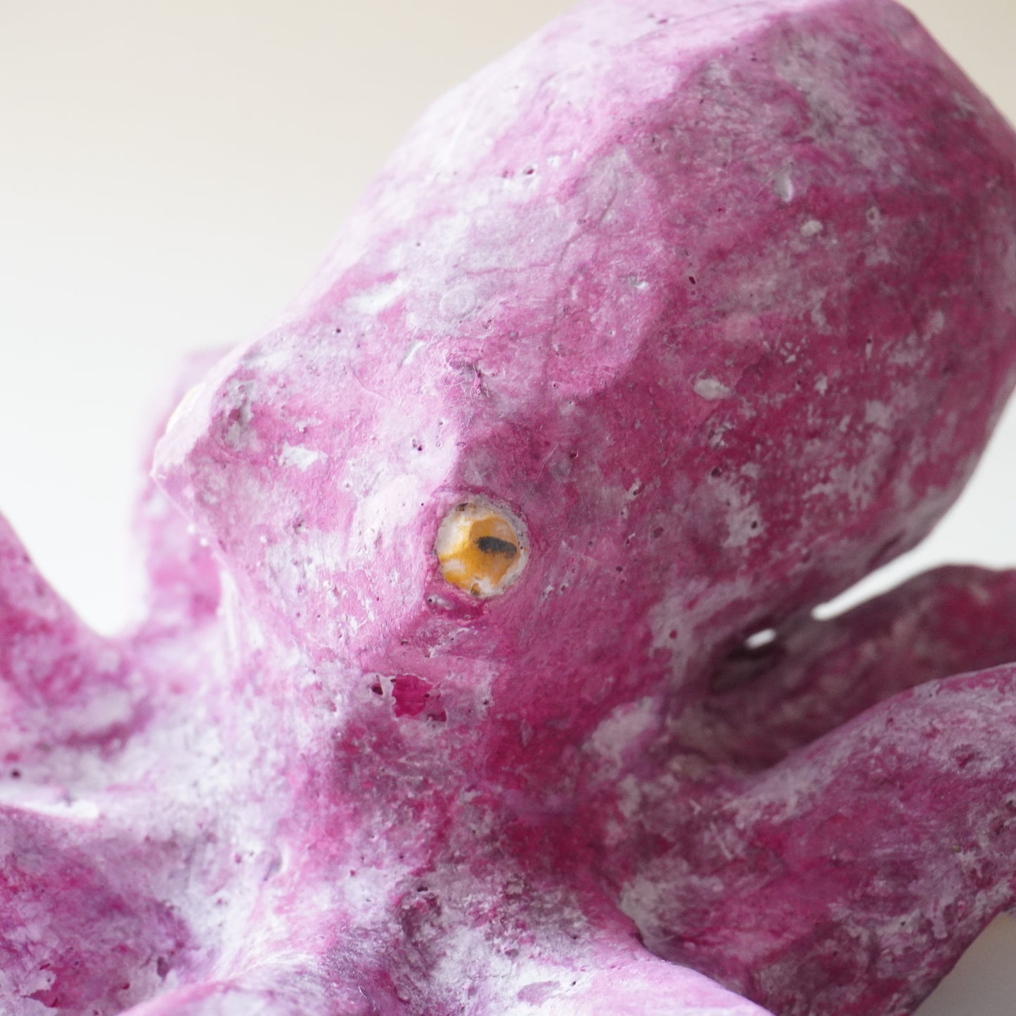 タコ（多幸）2025