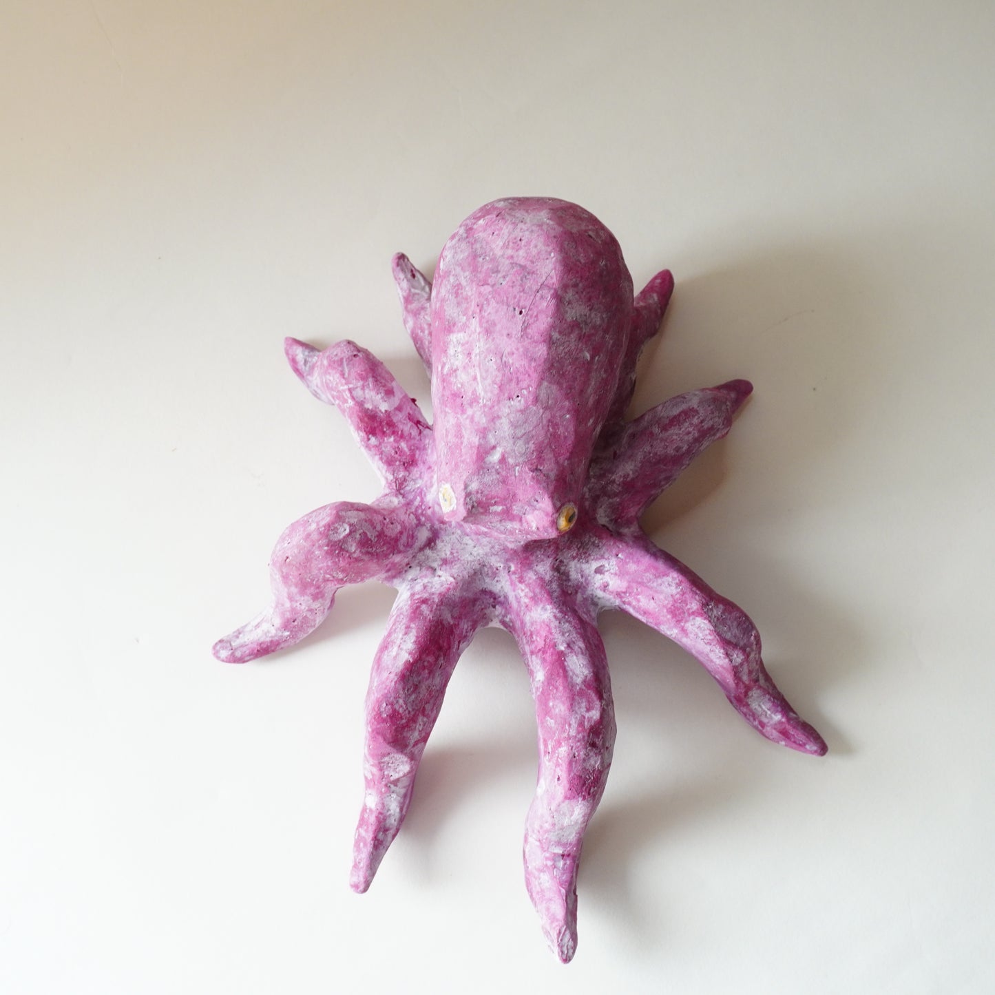 タコ（多幸）2025