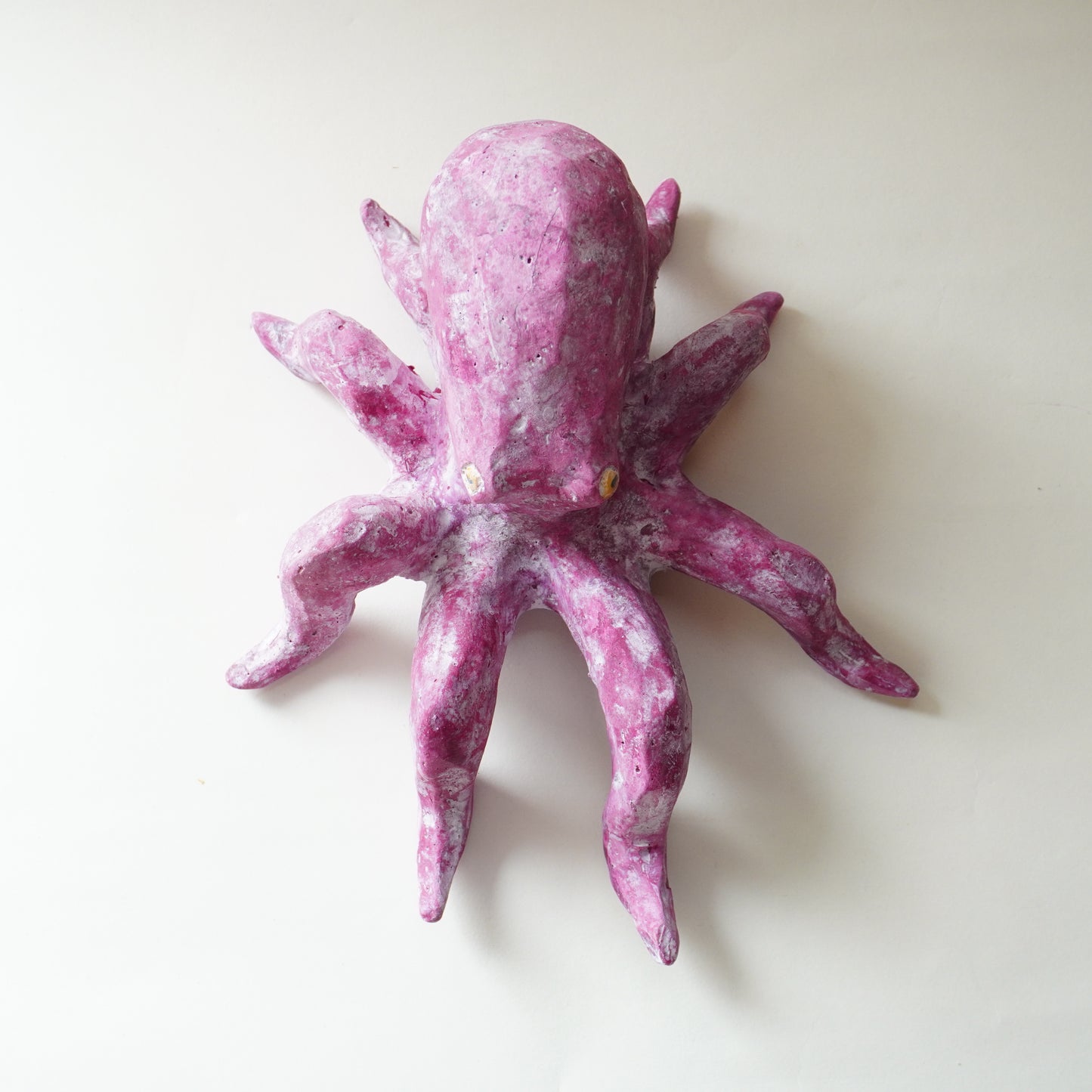 タコ（多幸）2025