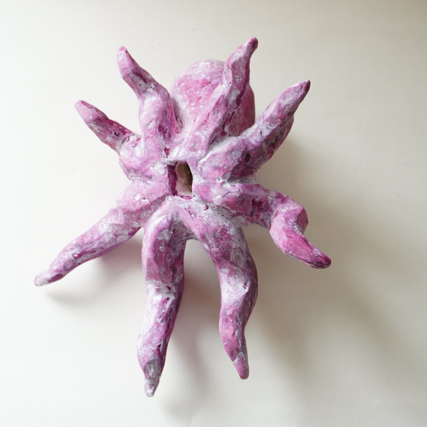 タコ（多幸）2025